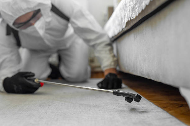 Professional Termite Control technician working in Dalworthington Gardens, TX