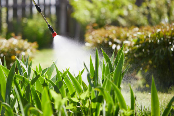24/7 Emergency Termite Control experts in Dalworthington Gardens, TX