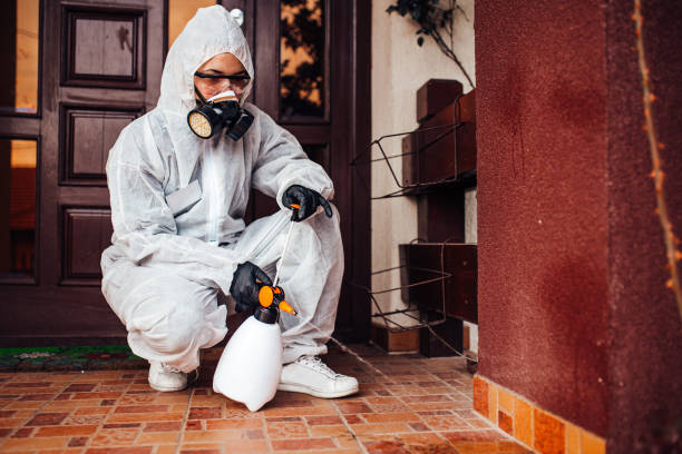Reliable Termite Control contractor in Dalworthington Gardens, TX by Nex Pest Control