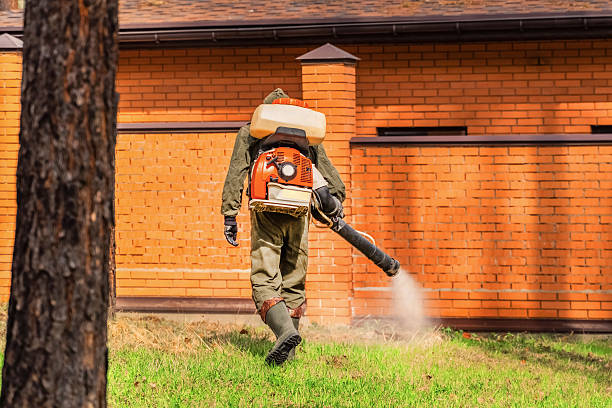 Trusted Emergency Pest Control service in Dalworthington Gardens, TX - Nex Pest Control